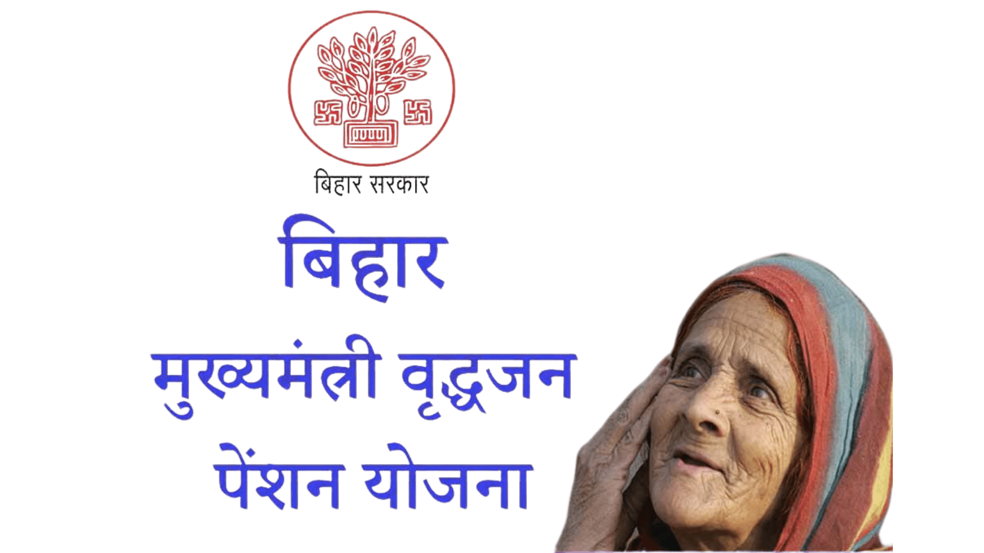 virdha pension yojna bihar